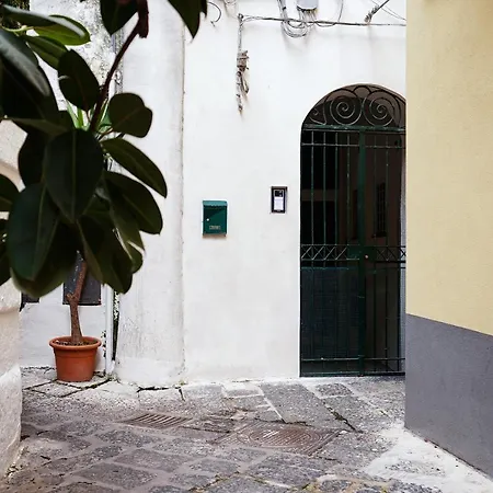 Casa Don Plinio Center