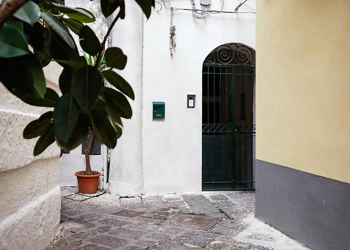 Casa Don Plinio Center